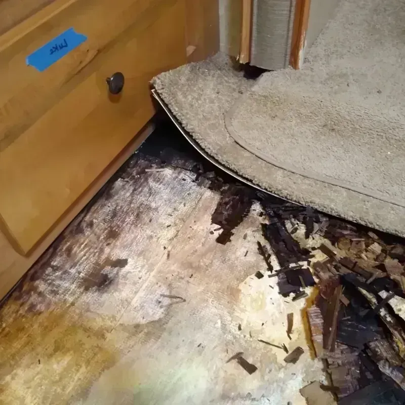 Wood Floor Water Damage in Judith Basin County, MT